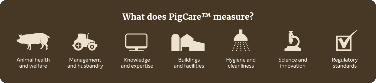 What does PigCare™ measure